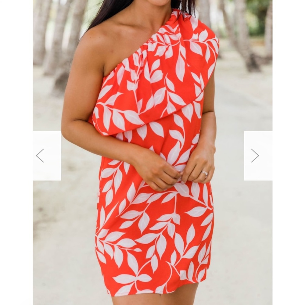 Pink lily dress brand new never worn